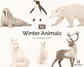 Winter Animals Clipart, Snow Arctic Animals PNG Commercial use, Winter Woodland Animal Forest, Commercial Use, Polar bear, Reindeer, Fox PNG