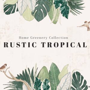 Rustikale tropische Sammlung, Zimmerpflanzen Clipart, Hausgrün Clipart, moderne Hochzeit Baby Aquarell Einladungskarten digitale PNG-clipart