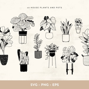 May include: A set of ten black and white illustrations of house plants in pots. The plants include a fiddle leaf fig, a monstera, a snake plant, a peace lily, a ZZ plant, a pothos, a rubber plant, a philodendron, a cactus, and a succulent.