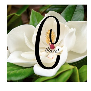 Hermoso nombre personalizado / impresión de nombre inicial / arte de nombre personalizado / colgar en su hogar / oficina / regalar para Navidad y cumpleaños