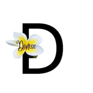 Hermosa impresión de nombre personalizada / impresión de nombre inicial / impresión personalizada para familiares / amigos / regalo de Navidad y cumpleaños