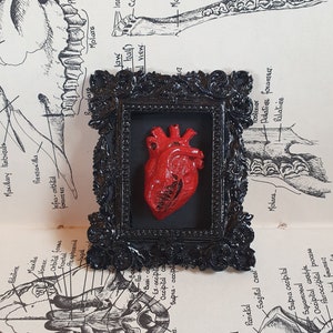 Mini Anatomical Heart Frame, Best Friend Birthday gifts, House warming Gifts, Witchy Home Decor,Gothic Home Decor & Anatomical Wall Art