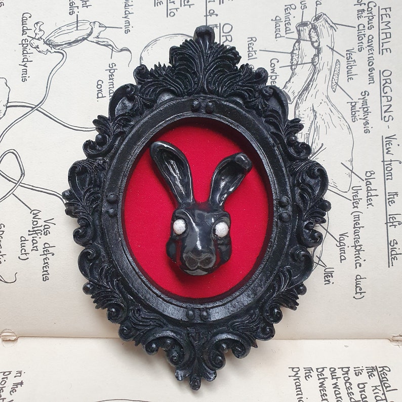 May include: A black rabbit figurine with white eyes, framed in a black ornate frame with a red velvet background.