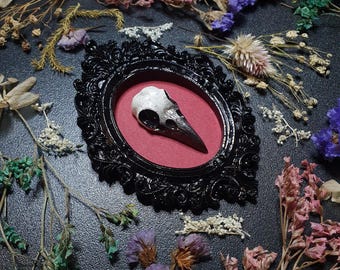 Raven Skull Filigree Frame, Gothic Home Decor, The Crow Art