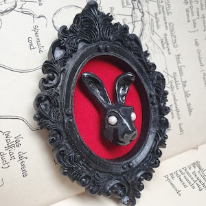 May include: A black rabbit with white eyes is framed in a black ornate frame with a red velvet background.