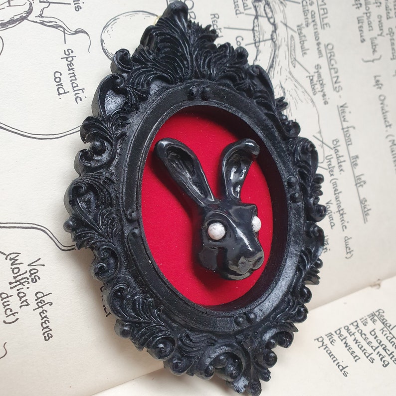 May include: A black rabbit with white eyes is framed in a black ornate frame with a red velvet background.
