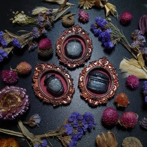 Può includere: Tre barattoli di vetro nero con coperchi decorati sono esposti in cornici dorate con sfondo in velluto rosso. Le cornici sono posizionate su uno sfondo scuro con fiori secchi.