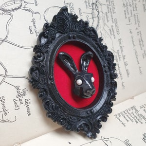 May include: A black rabbit with white eyes is framed in a black ornate oval frame with a red velvet background. The frame is on a page of a book with anatomical illustrations.