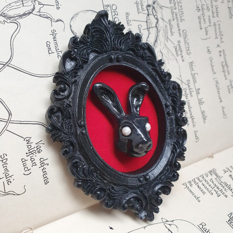 May include: A black rabbit with white eyes is framed in a black ornate oval frame with a red velvet background. The frame is on a page of a book with anatomical illustrations.
