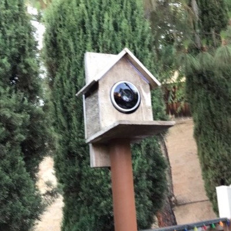 Bird House With Camera Etsy Bird house with camera etsy