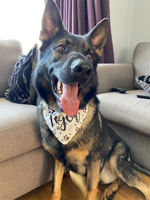 Cute puppy bandanas deals