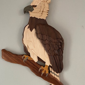 Harpy Eagle Intarsia