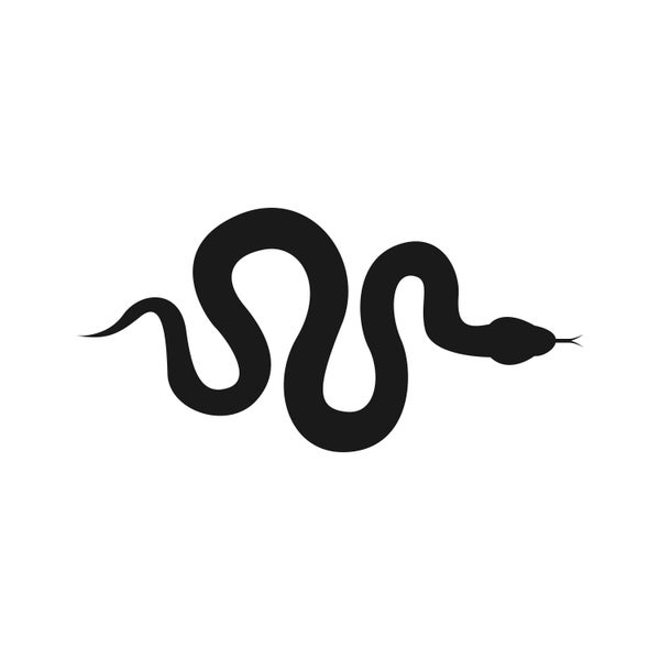 Snake SVG, Reptile SVG, Snake Silhouette SVG, Cut File Cricut