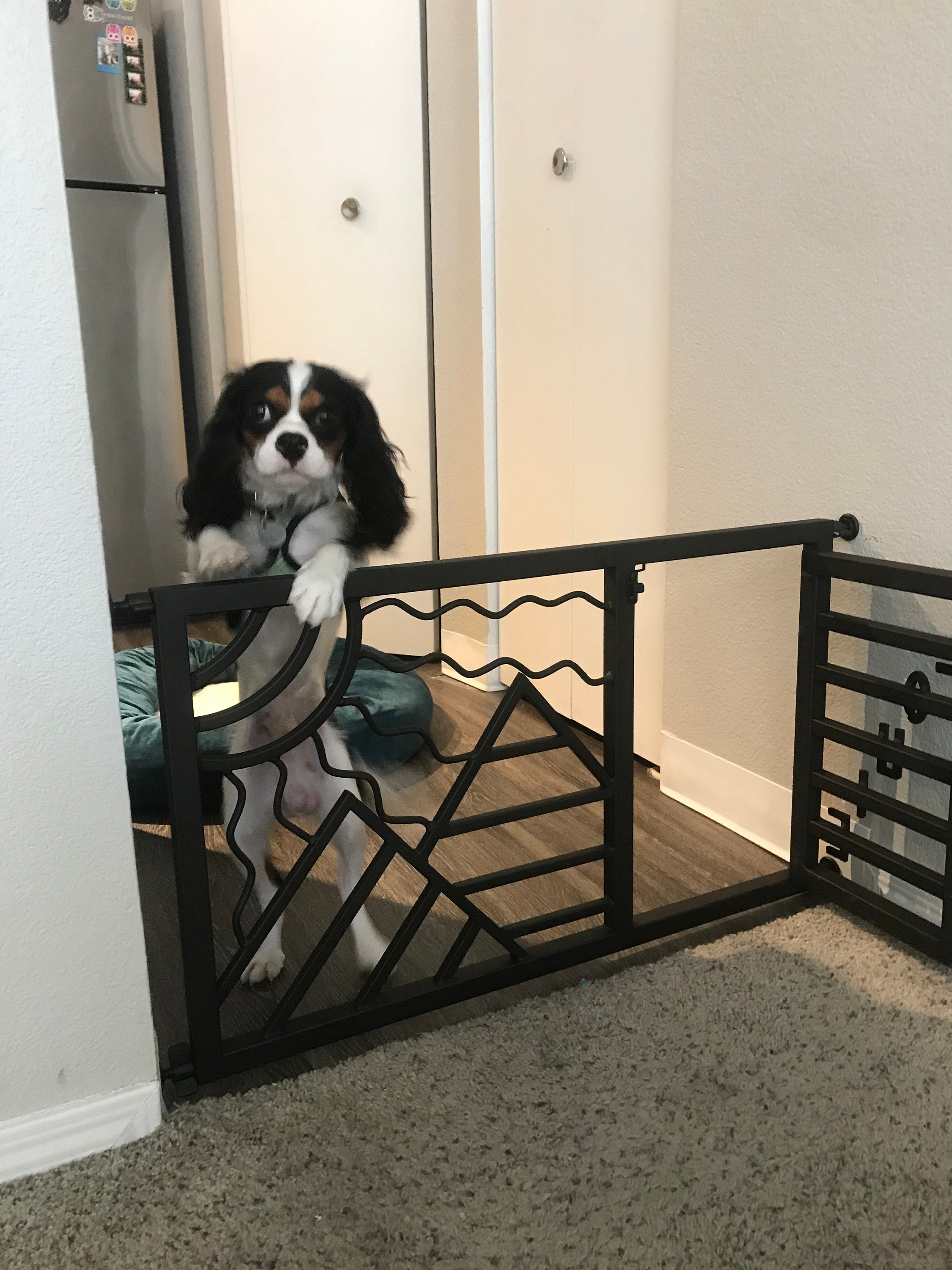 Custom Dog Gate step Over Etsy