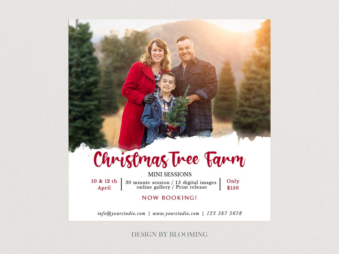 Christmas Tree Farm Mini Session Template, Photographer Marketing Board ...