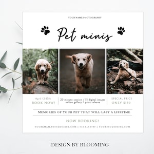 May include: A flyer advertising pet photography mini sessions. The flyer features three photos of golden retriever puppies in a wooded setting. The text on the flyer reads "Pet Minis", "April 12-17th, Book Now!" and "Special Price Only $150".