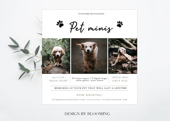 Pet Photography Mini Session Template, Social Media, PHOTOSHOP template (PSD)