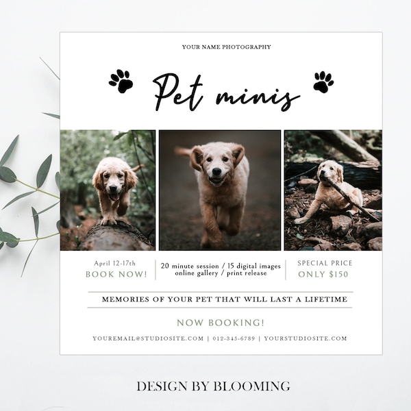 Pet Mini Session Template PSD, Pets Mini sessions, Animal Mini sessions, Dogs, Cats, Pets Photography marketing, pets mini sessions template