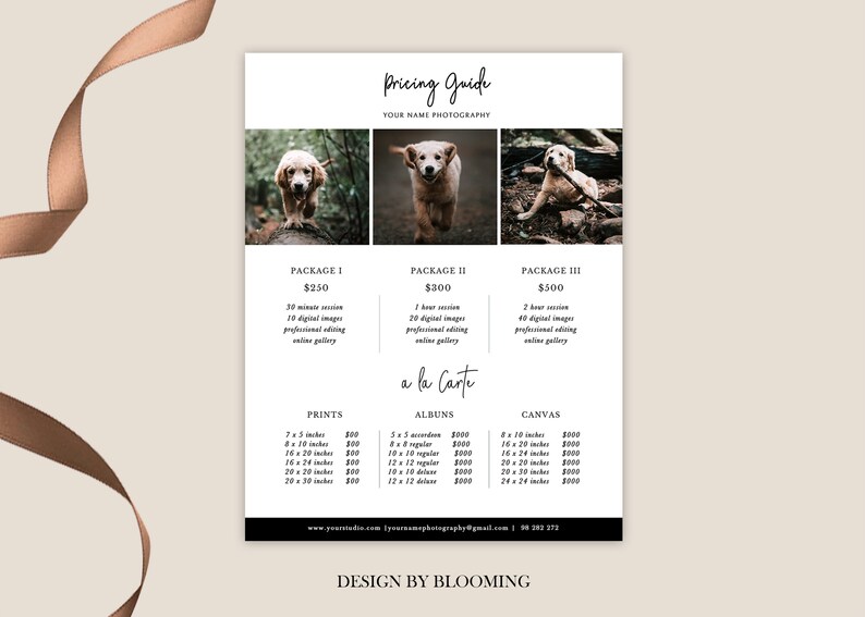 Pet Photography Pricing Guide Template Pricing Sheet Price Etsy