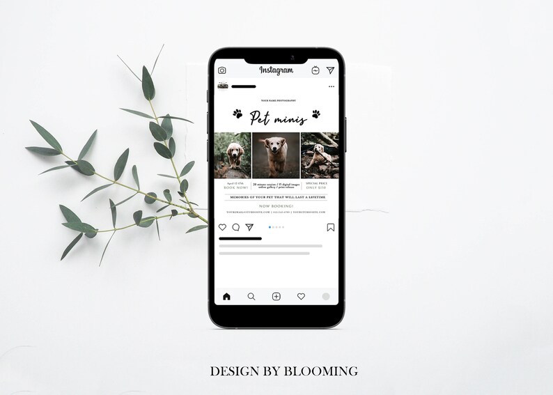 May include: A smartphone screen displaying an Instagram post advertising pet photography services. The post features three photos of dogs and the text "Pet minis".
