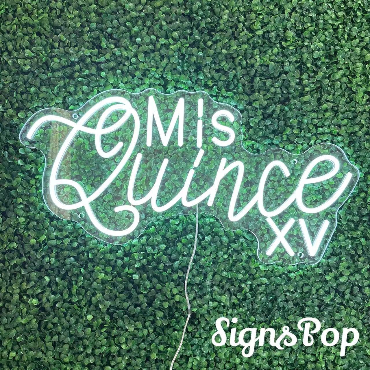 Mis Quince XV Neon Sign,custom 15th Birthday Party Led Neon Light,mis ...
