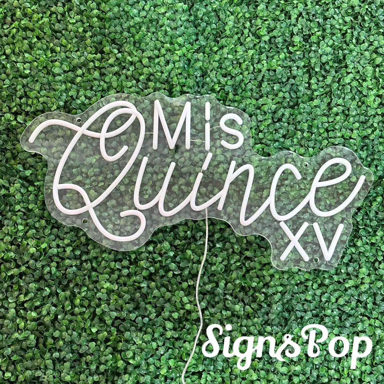 Mis Sign Mis Quince XV Neon Sign,custom 15th Birthday Party Led Neon Light,mis ...