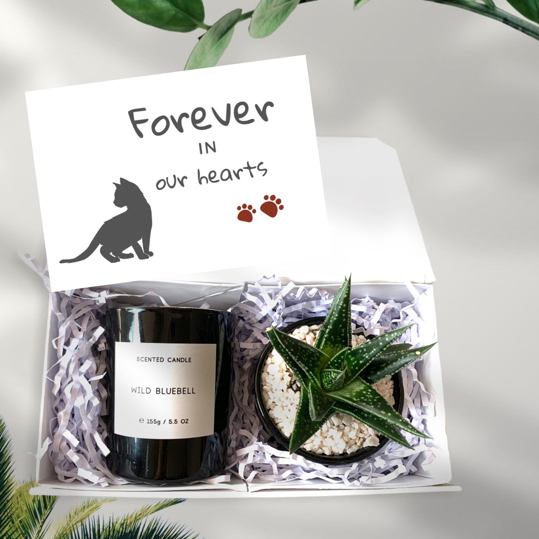 Cat Sympathy Gift, Cat Memorial Gift, Pet Sympathy Basket, Pet Loss Gifts, Pet  Loss Gift Box, Deceased Pet Gift, Cat Sympathy Gift Basket |  Colegiosantodomingo.edu.do
