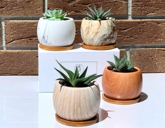 Japanese Style Succulent Planters Set of 4 Pots Indoor