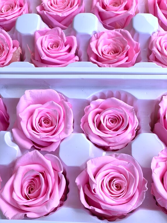 Preserved Roses Forever Roses Real 