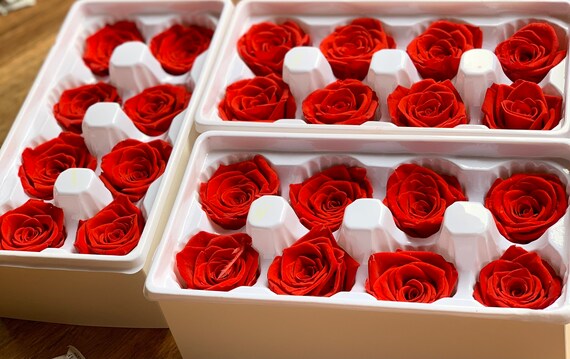 Preserved Roses Forever Roses Real 
