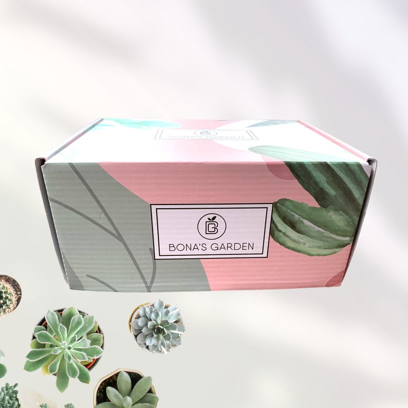 Sending Good Vibes Only Succulent Gift box Surgery Gift Etsy