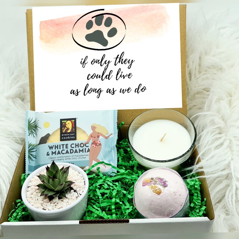 Pet Loss Sympathy gift for dog or cat owner condolence in