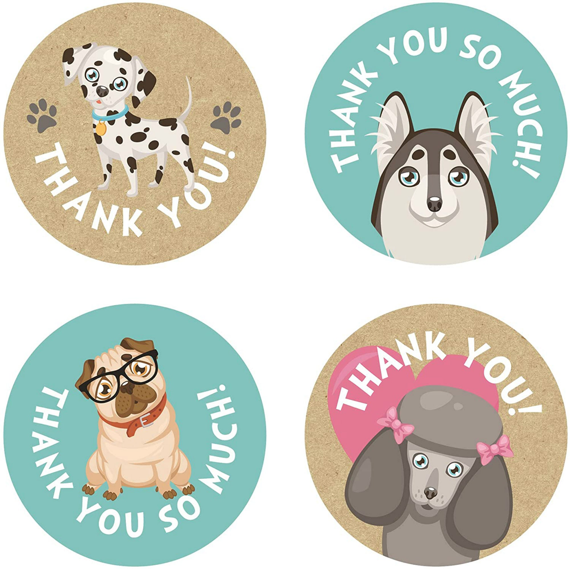 Thank You Cute Dog