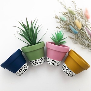 May include: Four brightly coloured plant pots in navy, green, pink, and mustard yellow. Each pot has a black and white spot pattern around the base. The pots contain small succulent plants. The pots are ideal for small plants.
