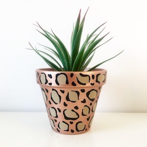 May include: A terracotta planter with a leopard print design in black and brown on a copper background. The planter is filled with a green succulent plant.