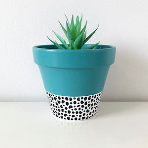 May include: Teal ceramic plant pot with a black and white spotted pattern around the base. It contains a green succulent plant. The pot is on a white surface.