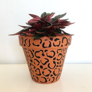 May include: A terracotta plant pot with a black leopard print design, featuring a green and red houseplant.