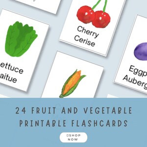 Colorful FRENCH Fruit and Vegetables Preschool Flashcards - Educational Learning for Bilingual Kids