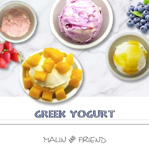 How to make Healthy Homemade Greek Yogurt Sweet and Savory Dishes Recipes Digital Recipe e-Book PDF Download Breakfast Recipe Dip Spread.