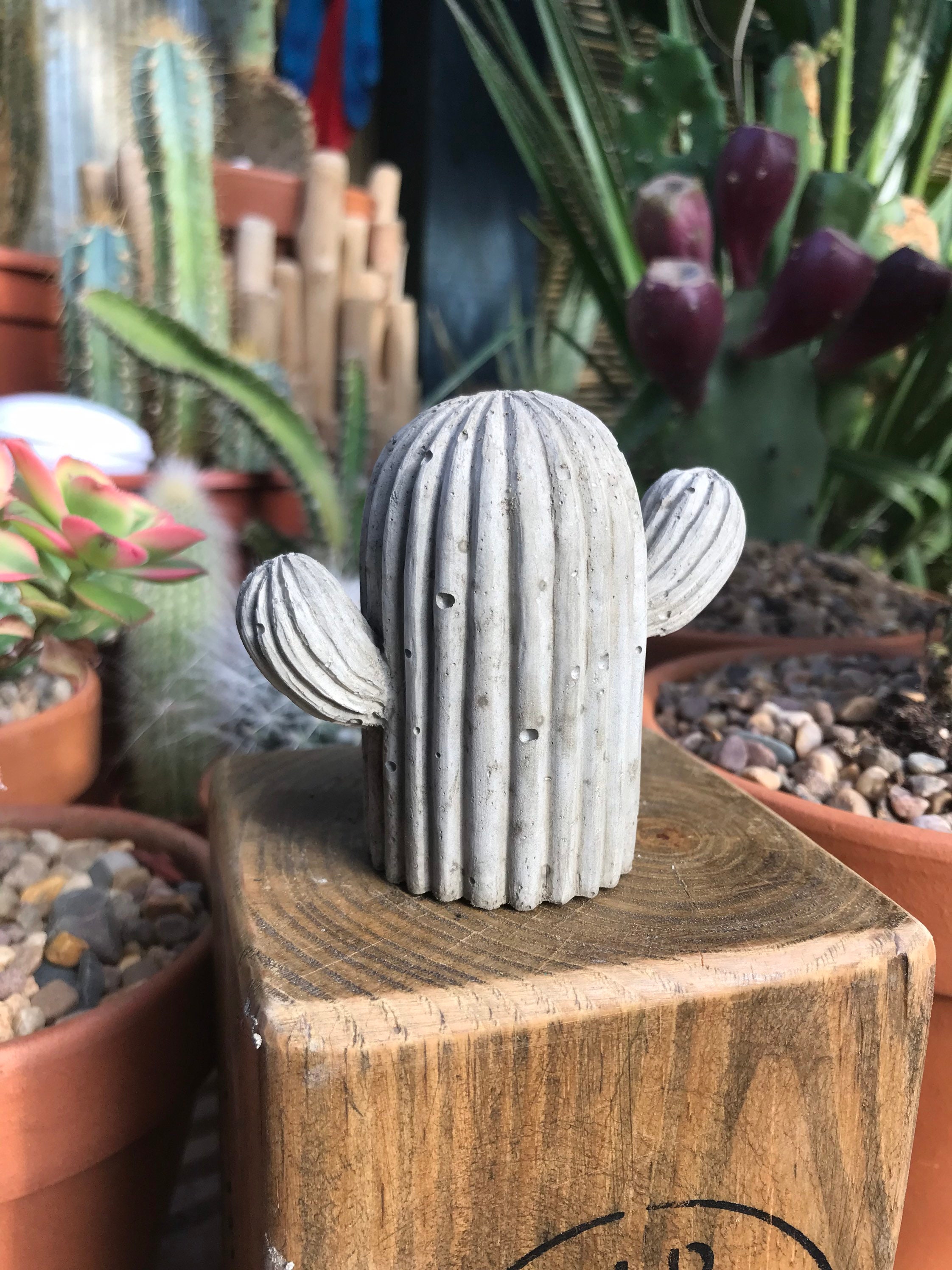 Stone/cre Mexican cactus statue garden or home decor | Etsy