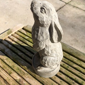 Stone/cre star gazing rabbit - hare garden statue or home decor . Wildlife . mothers day present . Pretty quirky ornament