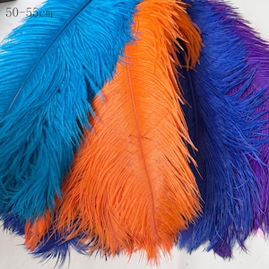 10 pezzi di piume di struzzo colorate, centrotavola per matrimoni, festa di carnevale e samba, abbelliti