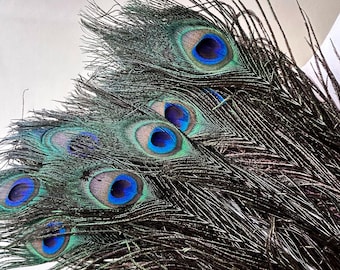 50PCS Loose Peacock Feathers Blue Eye Feather for Mardi Gras Decor Grand Party