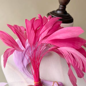 May include: A bunch of pink feathers tied together with a rubber band. The feathers are arranged in a fan shape and are soft and fluffy.