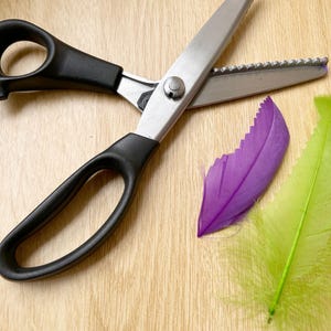 Puede incluir: Unas tijeras de zig-zag de metal con mangos de plástico negro y una hoja dentada. Junto a las tijeras hay dos plumas decorativas, una de un tono violeta vibrante y la otra de un color verde lima brillante, ambas con bordes dentados.