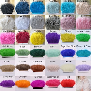 Ostrich Feather Fringe Colorful and Fur Feathers Trim for Prom Fringe Dress  Craft Projects
