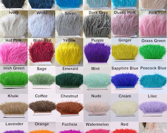 Ostrich Feather Fringe Colorful and Fur Feathers Trim for Prom Fringe Dress  Craft Projects