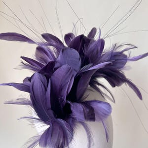 May include: A striking purple fascinator, featuring a layered design of soft feathers and fine black quills. The headpiece is a vibrant shade of purple, with a cluster of feathers and slender, upright quills. This accessory is suitable for special occasions.