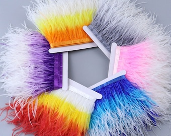 May include: Assortment of colorful feather trim in various colors including purple, pink, blue, yellow, orange, and red. The feather trim is arranged in a circle.