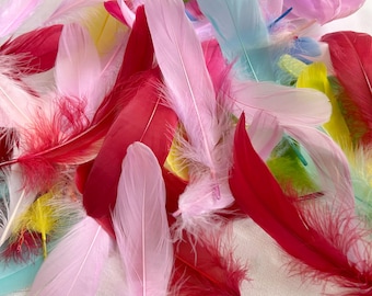 80 colores de plumas de ganso sueltas, plumas de aves de corral, suministros para bodas y fiestas.